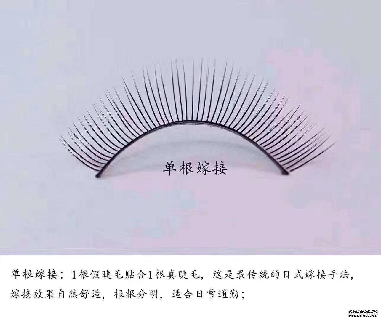 学睫毛嫁接技术到漯河艾尚化妆美容培训学校(图1)