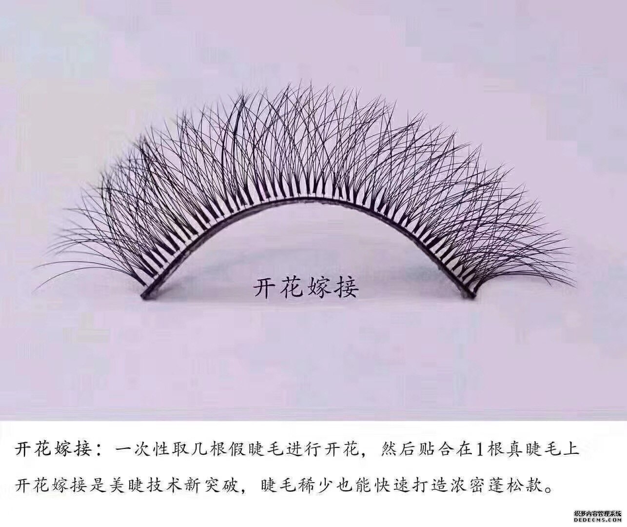 学睫毛嫁接技术到漯河艾尚化妆美容培训学校(图2)